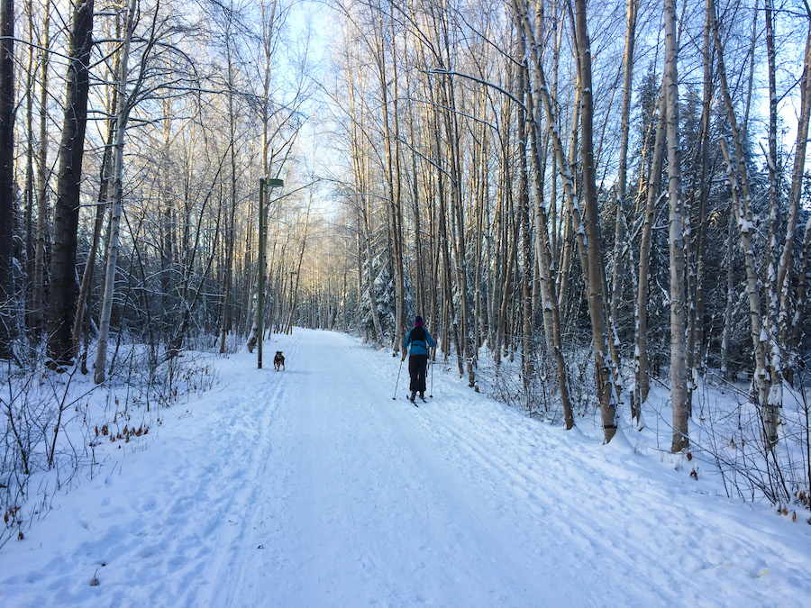 Alaska's Lanie Fleischer Chester Creek Trail | Photo courtesy Anchorage Park Foundation