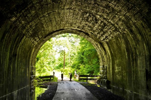 Allegheny River Trail in Pennsylvania | Photo by Tom Bilcze