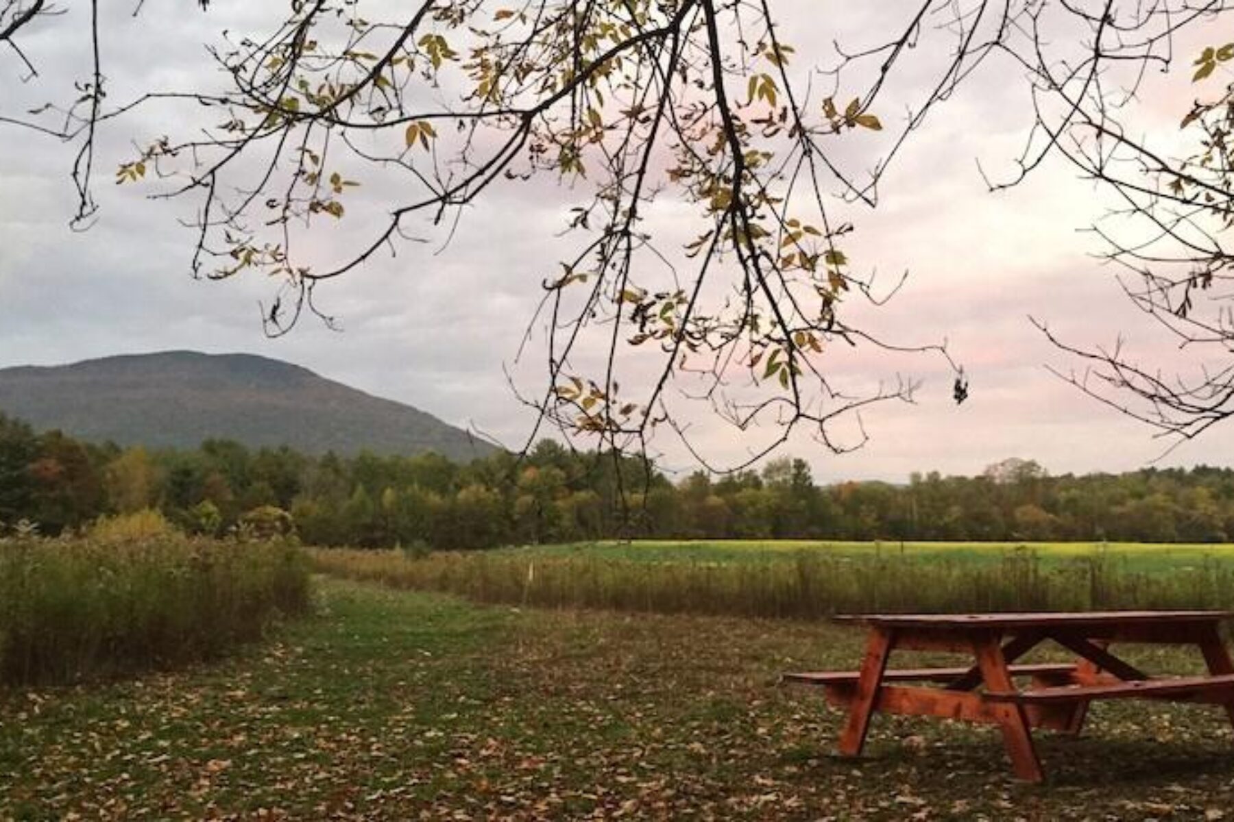 Along the Manchester Rail Trail in Vermont | Photo by Robin Verner