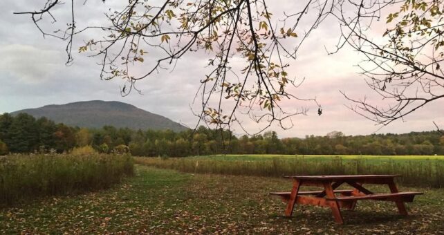 Along the Manchester Rail Trail in Vermont | Photo by Robin Verner