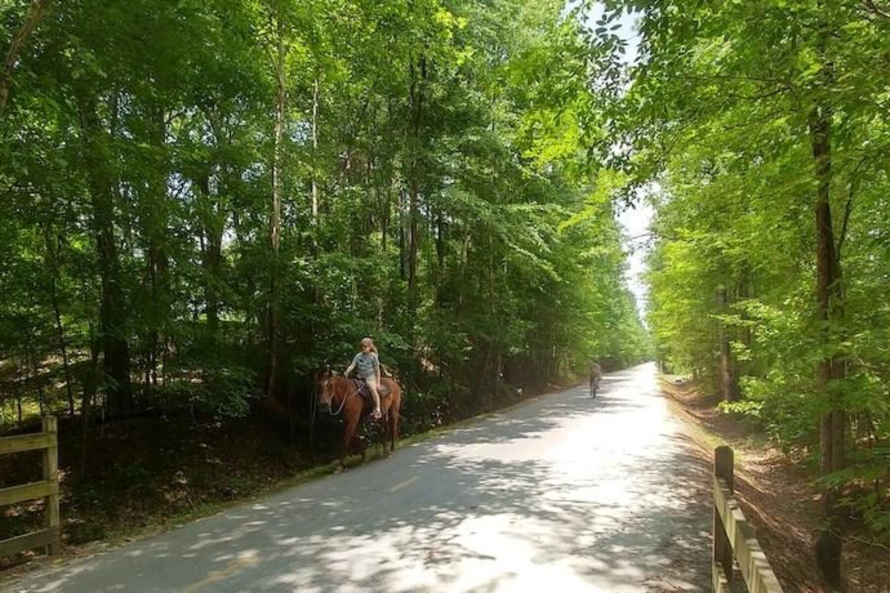 American Tobacco Trail | Photo by Dave Connelly