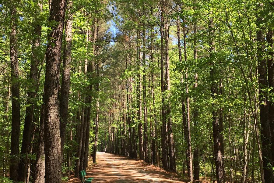 American Tobacco Trail | Photo by TrailLink user susiepop66