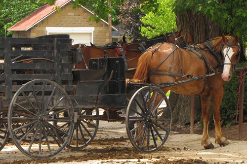 Amish Country along the Holmes County Trail | Photo courtesy TrailLink.com:rlpurcell