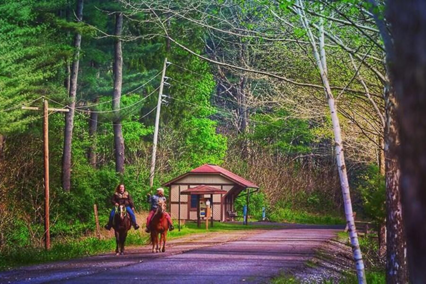 An equestrian trail parallels the Pine Creek Rail Trail between Ansonia and Tiadaghton | Photo by Linda Stager, author of the Pine Creek Rail Trail Guidebook