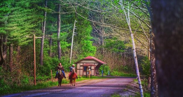 An equestrian trail parallels the Pine Creek Rail Trail between Ansonia and Tiadaghton | Photo by Linda Stager, author of the Pine Creek Rail Trail Guidebook