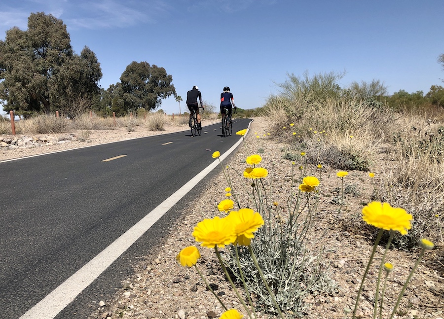 Arizona's Chuck Huckelberry Loop Trail | Photo by Cindy Barks