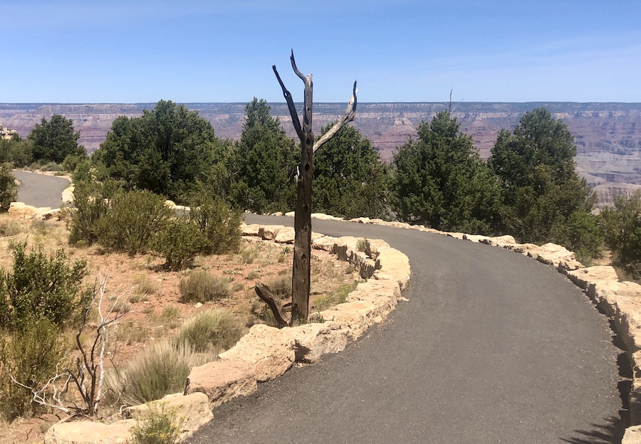 Arizona's Grand Canyon Greenway Trail | Photo by Cindy Barks