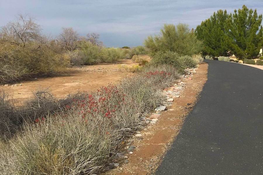 Arizona's Queen Creek Wash Trail | Photo by TrailLink user georgehazzard