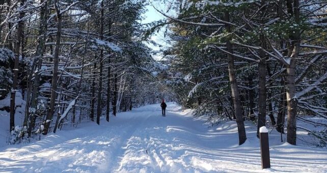 Ashokan Rail Trail | Photo by Maxanne Resnick, courtesy Woodstock Land Conservancy