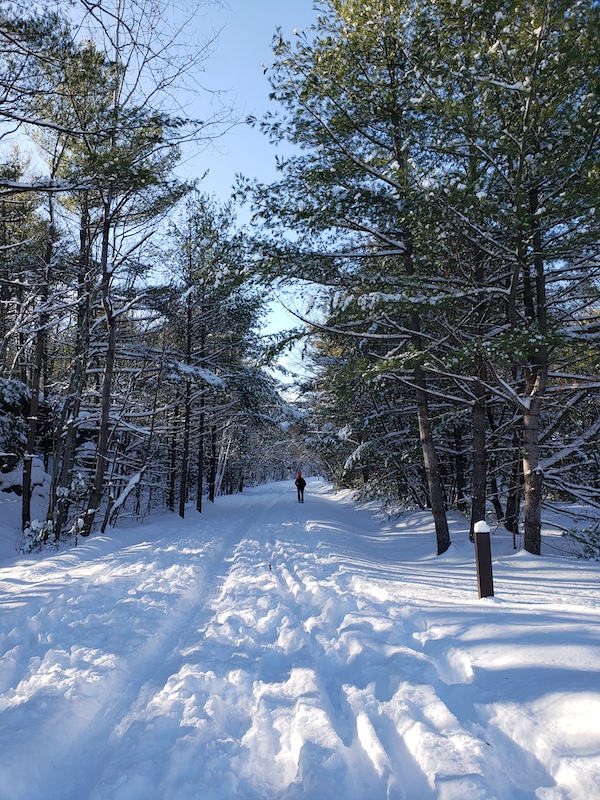 Ashokan Rail Trail | Photo by Maxanne Resnick, courtesy Woodstock Land Conservancy