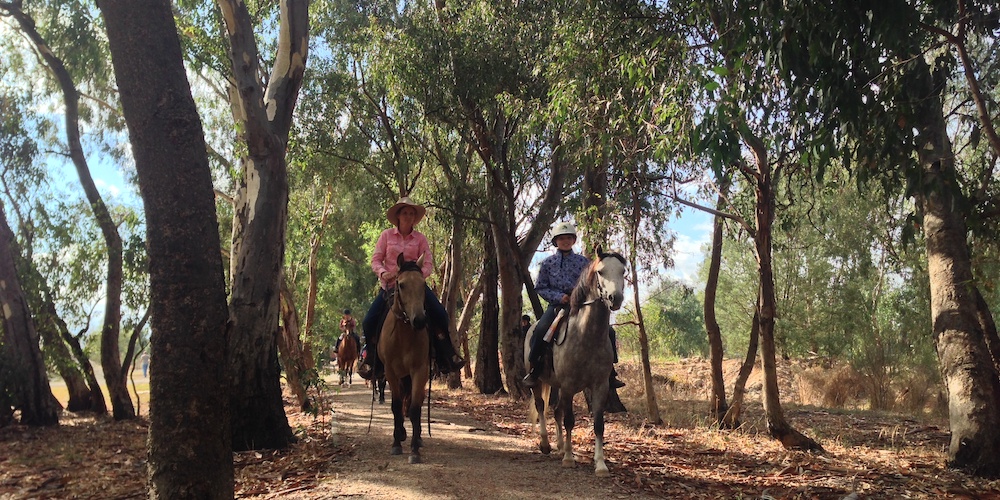 Australia's Great Victorian Rail Trail | Photo courtesy Great Victorian Rail Trail