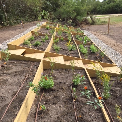 Butterfly garden in Los Fresnos | Photo courtesy City of Los Fresnos
