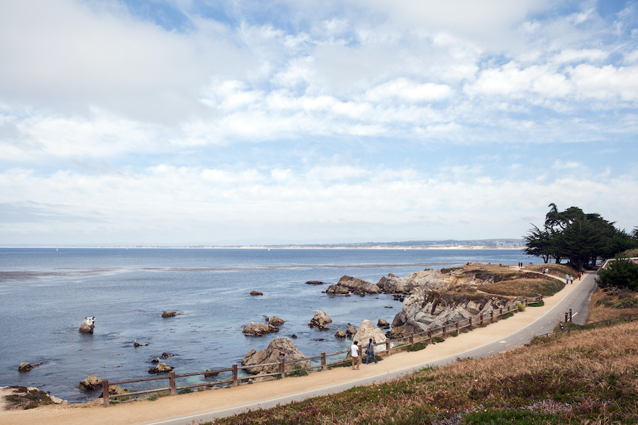 California's Monterey Bay Coastal Recreation Trail | Elizabeth Bean Photography