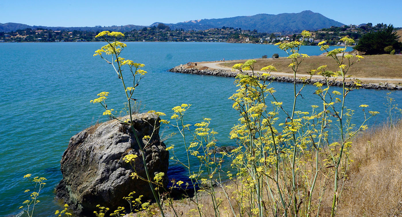 California's San Francisco Bay Trail | Photo by Cindy Barks