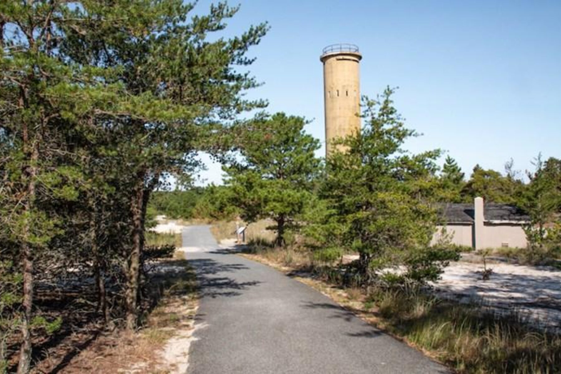 Cape Henlopen State Park Bike Loop | Courtesy Delaware State Parks