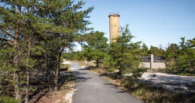 Cape Henlopen State Park Bike Loop | Courtesy Delaware State Parks