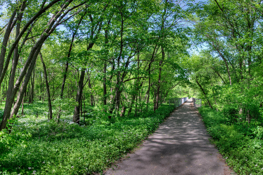 Cedar Valley Nature Trail | Photo by Nathan Houck, courtesy Iowa Natural Heritage Foundation