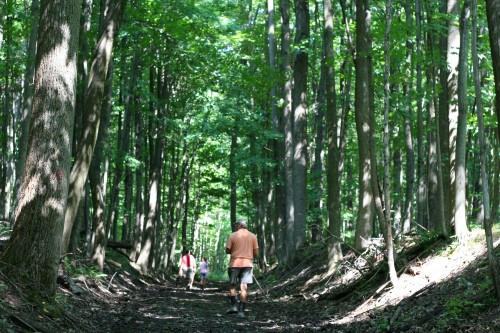 Chautauqua Rails-to-Trails in New York | Photo by Chris Anderson