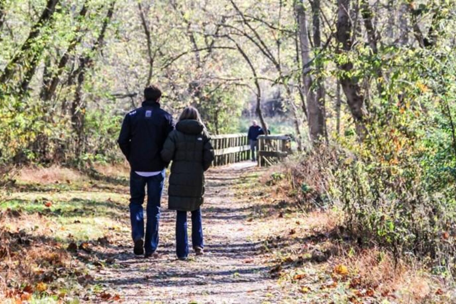 Chessie Nature Trail | Photo by Frank N. Carlson