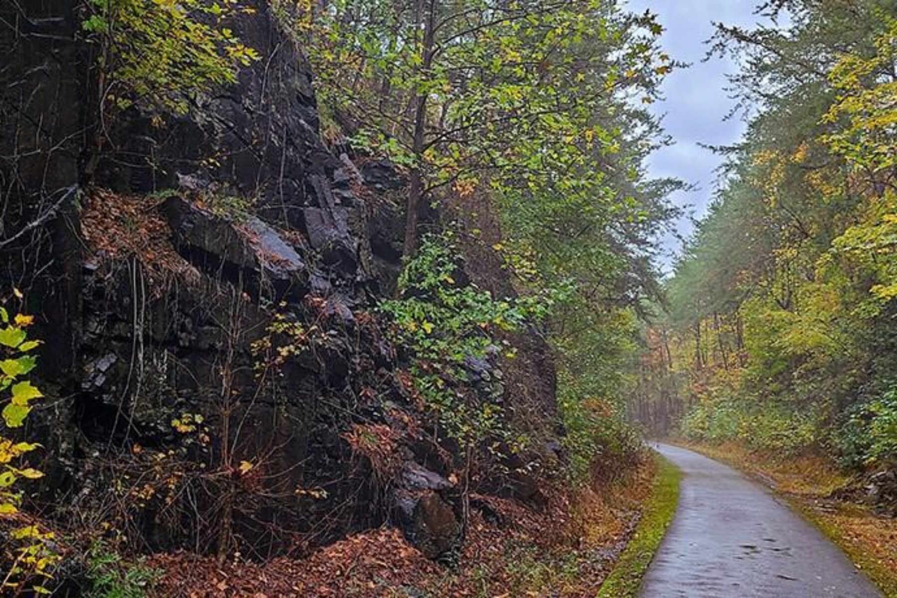 Chief Ladiga Trail | Photo by Ed and Jenn Coleman