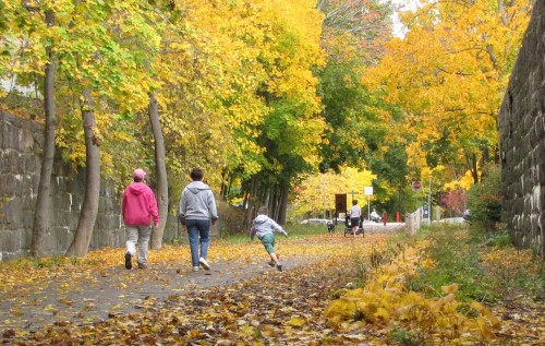 Clipper City Rail Trail & Harborwalk, Mass.| Photo by Georgie Vining