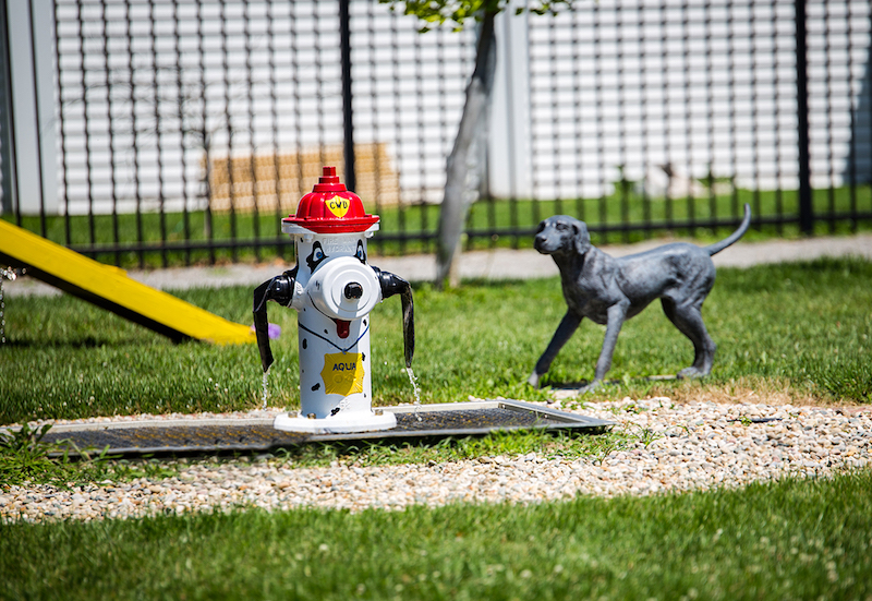 Collinsville's Mutts on Main Dog Park lies not far from the Madison County Transit Schoolhouse Trail | Courtesy City of Collinsville.jpg