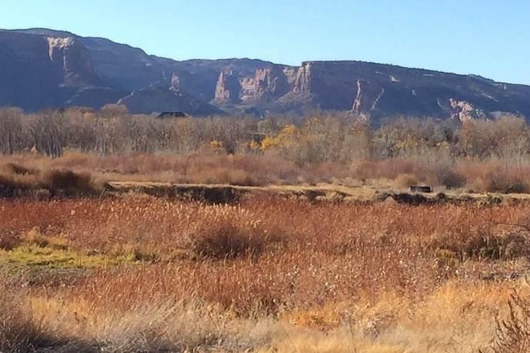 Colorado Riverfront Trail, looking into Colorado National Monument Walk Wildlife Area | Photo by TrailLink user auerbach_j