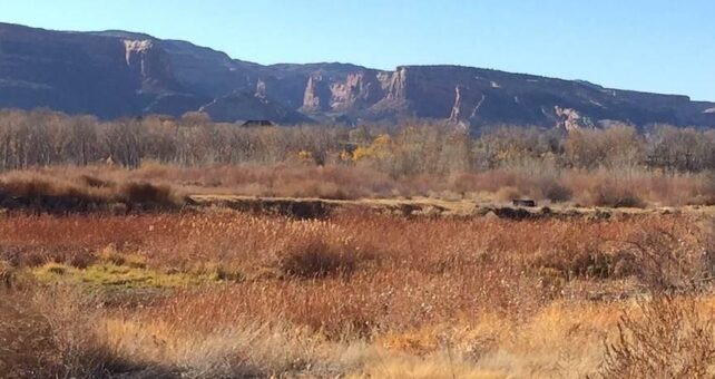 Colorado Riverfront Trail, looking into Colorado National Monument Walk Wildlife Area | Photo by TrailLink user auerbach_j