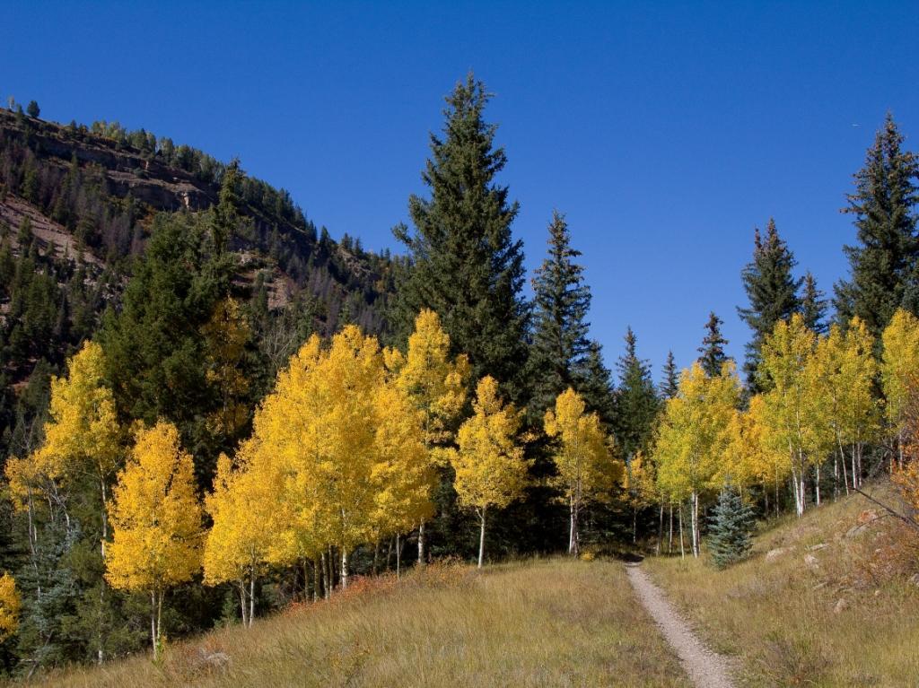 Colorado's Galloping Goose Trail | Courtesy RTC