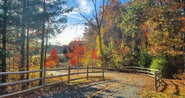 Connecticut's Charter Oak Greenway | Photo by TrailLink user ctaci