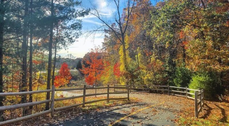 Connecticut's Charter Oak Greenway | Photo by TrailLink user ctaci