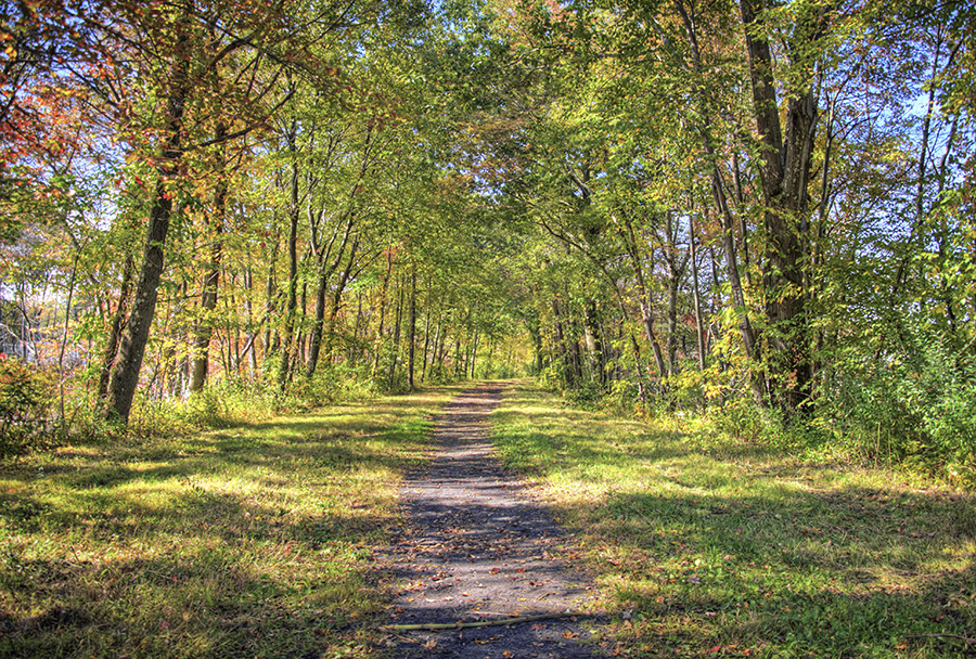 Connecticut's Larkin State Park Trail | Photo by John M. Joy