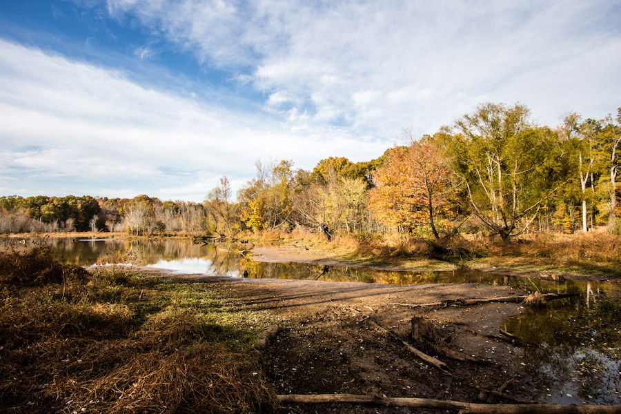 Constitution Lakes Park in DeKalb County, GA | Photo by Shawn Taylor | CC BY 2.0
