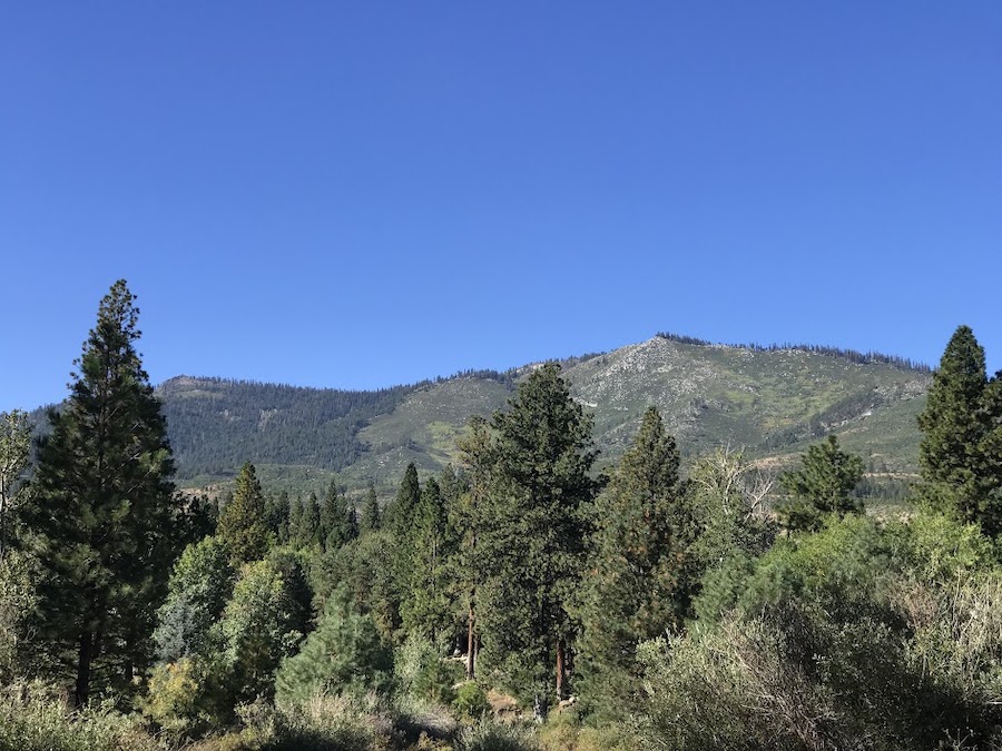 Crystal Peak as seen from the interpretive trails at Crystal Peak Park | Photo by Helena Guglielmino