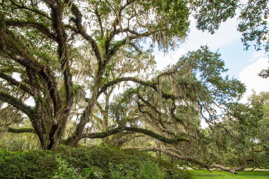 De Leon Springs on the north end of the Spring to Spring Trail | Photo by TrailLink user lzika