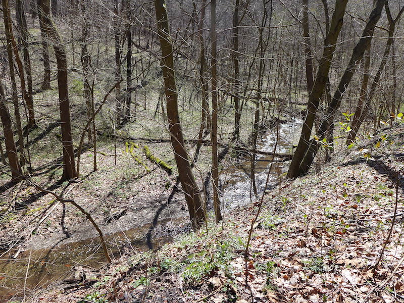 Dead Man’s Hollow along the Youghiogheny River Trail in Pennsylvania | Photo courtesy Kate St. John | CC by 2.0