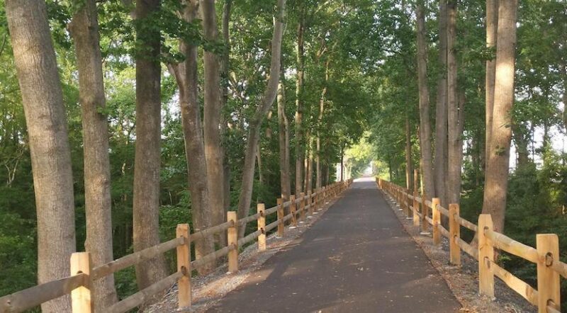 Delaware's Georgetown-Lewes Trail | Photo by TrailLink user James McGinnis