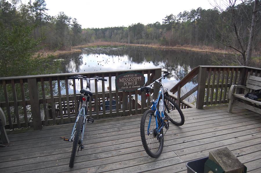 Denbury Beaver Pond along the Longleaf Trace | Photo by TrailLink user jake.lynch.1426