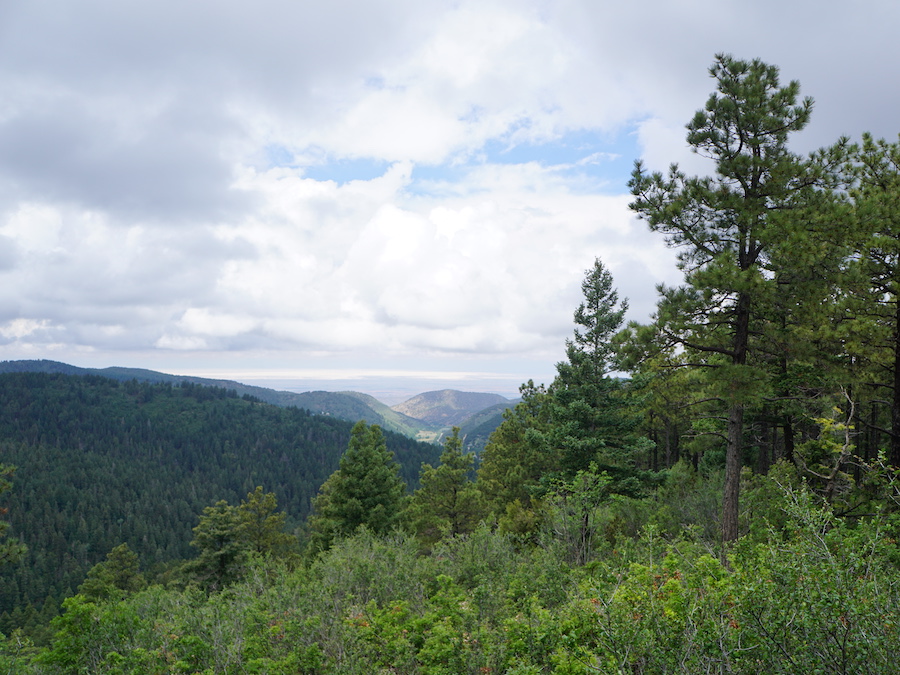 Dense forestland surrounds the Cloud-Climbing Trestle Trail. There are many vantage points along the 1.3-mile trail for taking in the surrounding mountains and valleys. | Photo by Cindy Barks