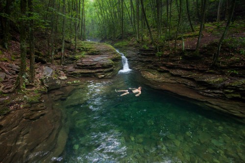 Devil's Bathtub on the Devil's Fork Loop Trail, Va. | Photo by Michael Speed