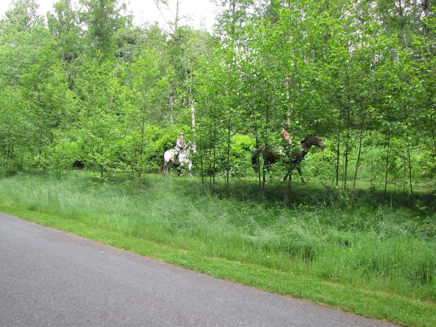 Equestrian path along Washington's Centennial Trail | Photo by Barbara Richey