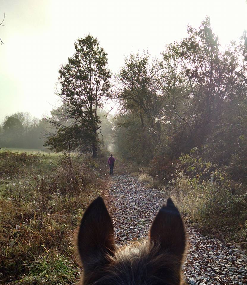 Equestrians are permitted along the full length of Rock Island Trail State Park. | Photo by Kim Henderson