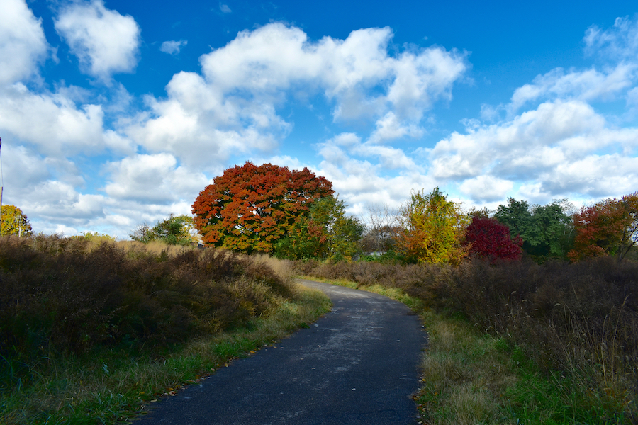 Fall Birdwalk in Tacony Creek Park | Courtesy Tookany-Tacony-Frankford Watershed Partnership, Inc.