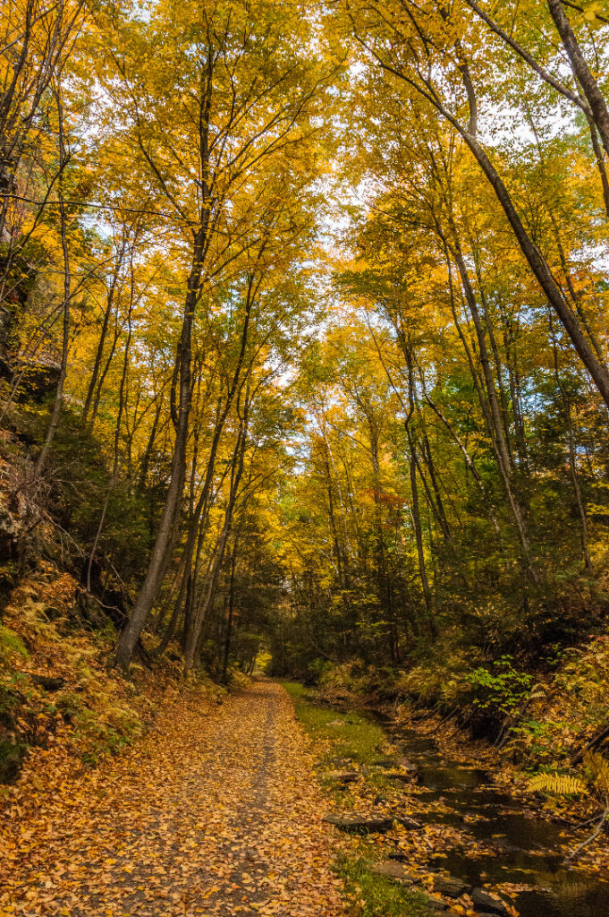 Fall colors along the Hop River Trail in Bolton. | Photo by Bill Cannon