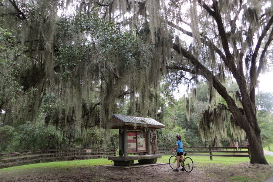 Florida's Gainesville-Hawthorne State Park Trail | Courtesy RTC