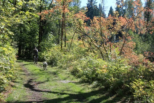 Foothills Trail | Photo by Gene Bisbee