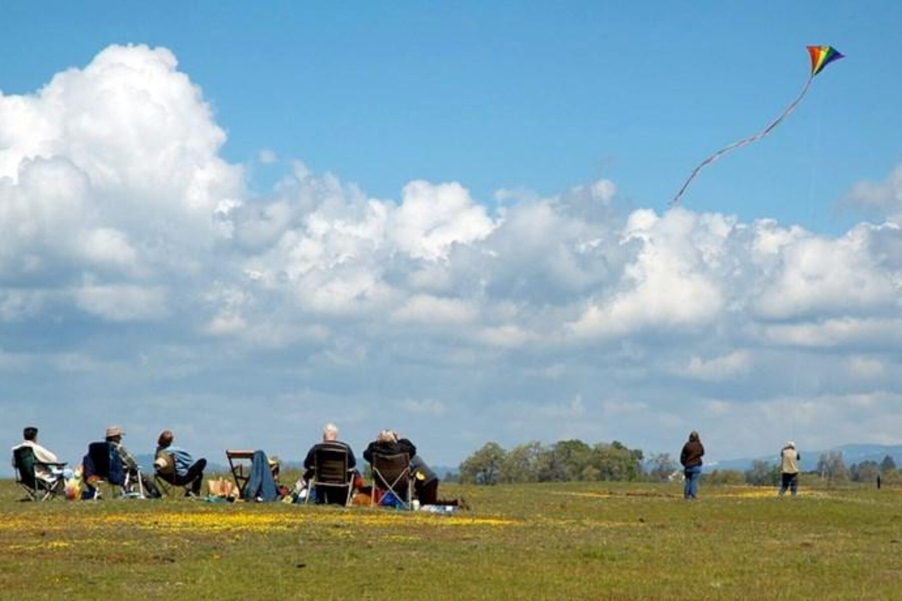 Friends and family flying kite in park