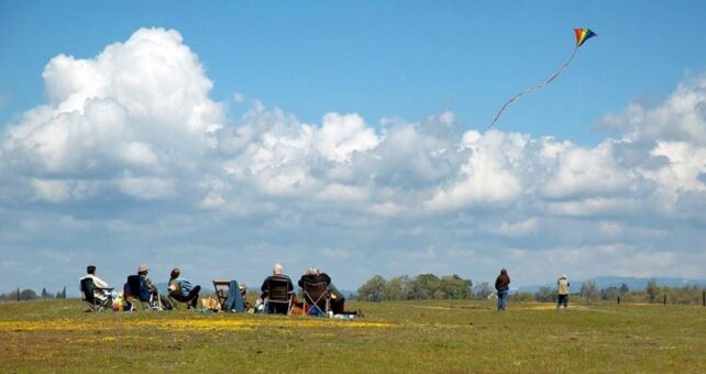 Friends and family flying kite in park