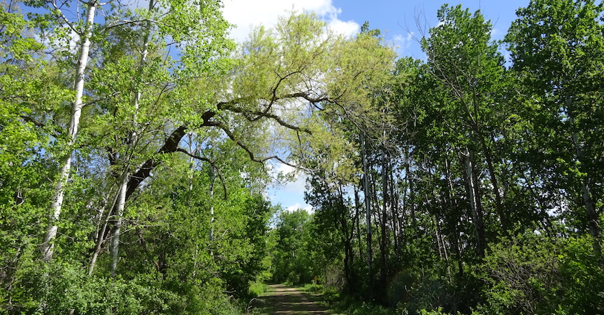 Gandy Dancer Trail | Photo by Amy Bayer