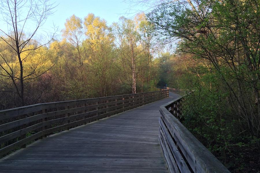 Georgia's Big Creek Greenway | Photo by TrailLink user tombell30075